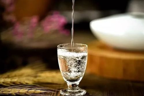 酒水代理商客戶留存之道 從交易關(guān)系到價(jià)值共贏的四大核心策略