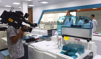 驚艷登場！泉州版迪士尼即將亮相，預計最快2019年開放，未來片區(qū)聚焦針紡織品銷售